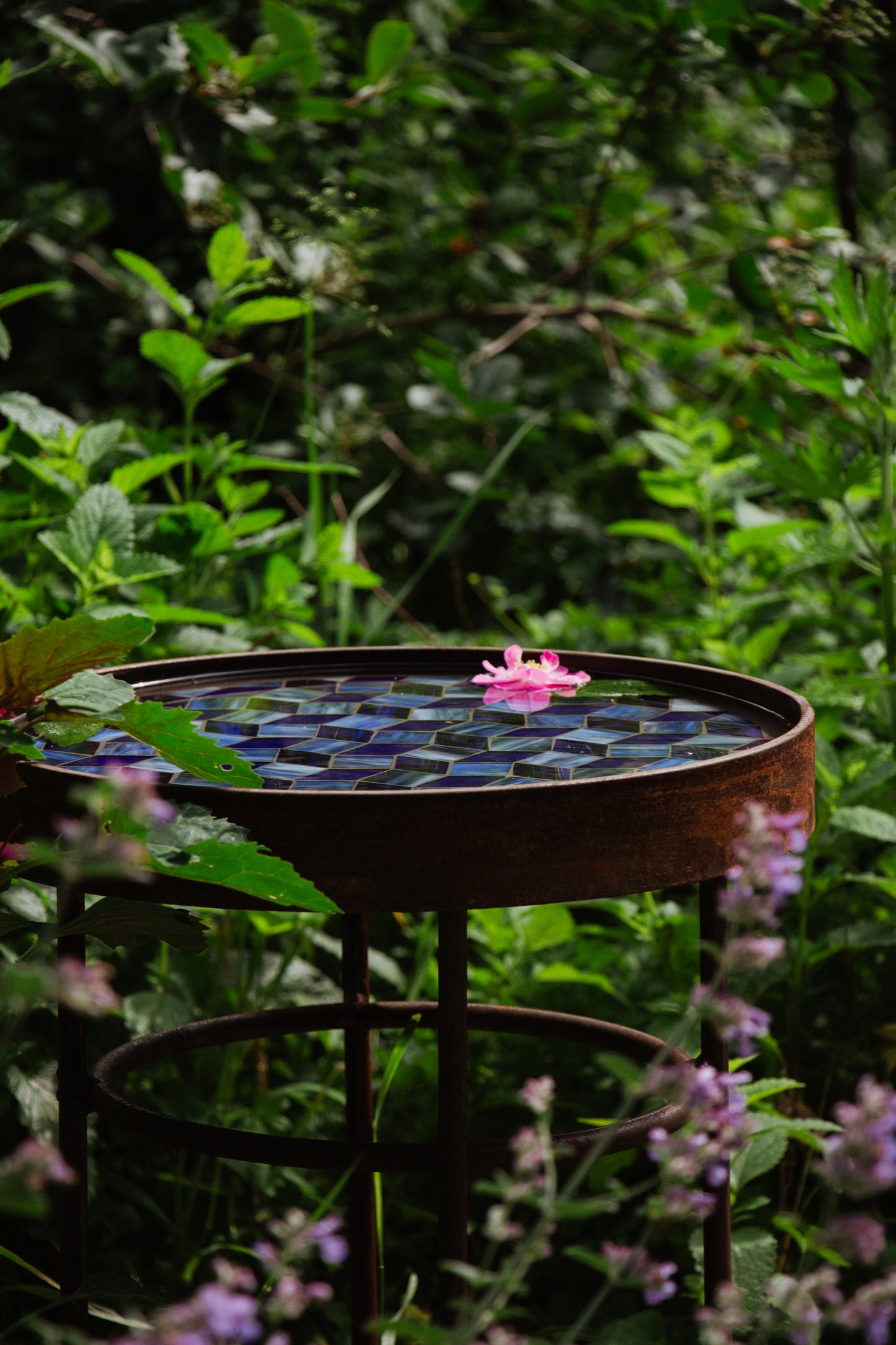 Schalen.Tisch Kornblume